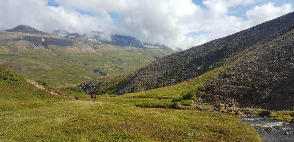 Green meadows at Flateyjardalur © Christin Irma Schröder